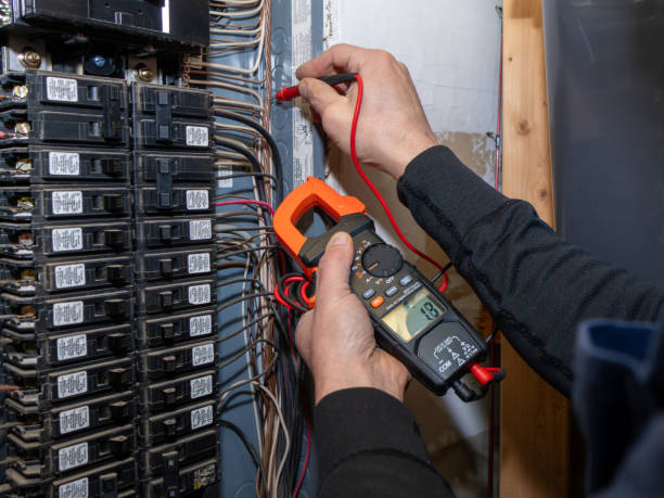 Best Ceiling Fan Installation Electrician  in Newport, WA